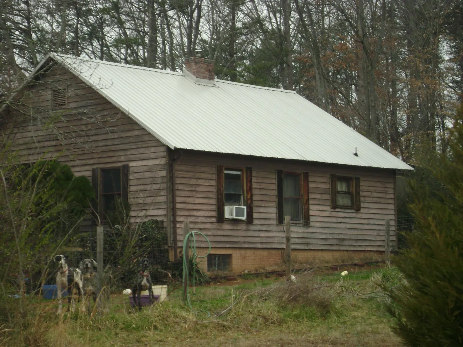 White metal roof on an old wood sided farmhouse, from a Asphalt Shingle Roof Repair job in Ragland